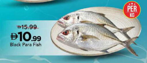 available at مارك & سيف in الإمارات العربية المتحدة , الامارات - أبو ظبي