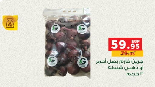 available at Panda  in Egypt - Cairo