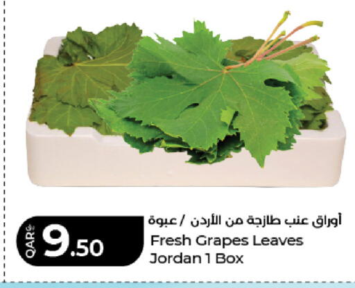 Grapes from Jordan available at LuLu Hypermarket in Qatar - Doha