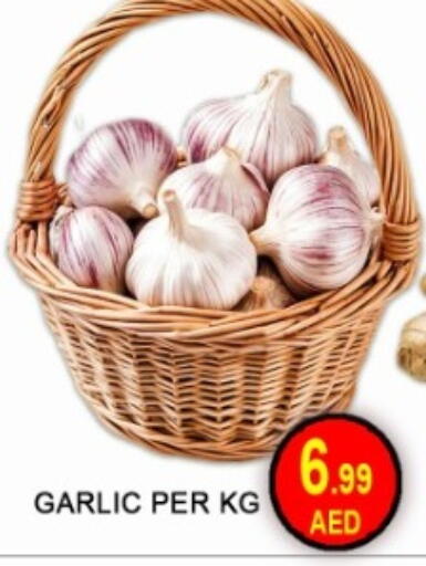 Garlic available at جرين جيفت متجر أقسام in الإمارات العربية المتحدة , الامارات - دبي