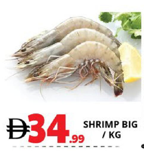 available at اكسبرس المدينة هايبرماركت in الإمارات العربية المتحدة , الامارات - أبو ظبي