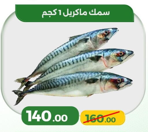 available at Green Tree Hypermarket - Sohag in Egypt - Cairo