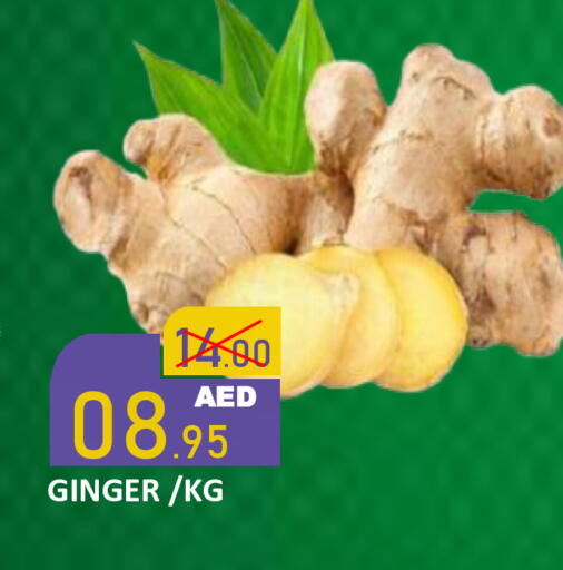 Ginger available at رويال جلف هايبرماركت in الإمارات العربية المتحدة , الامارات - أبو ظبي