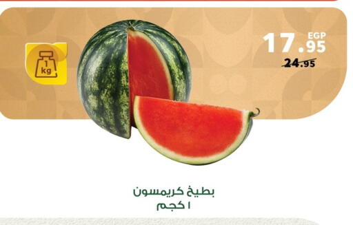 available at بنده in Egypt - القاهرة