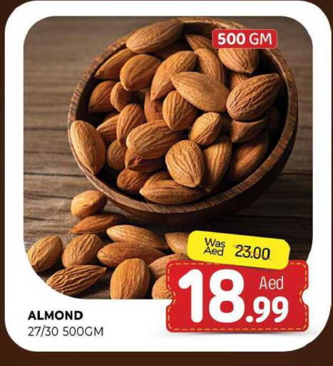 available at المدينة in الإمارات العربية المتحدة , الامارات - الشارقة / عجمان
