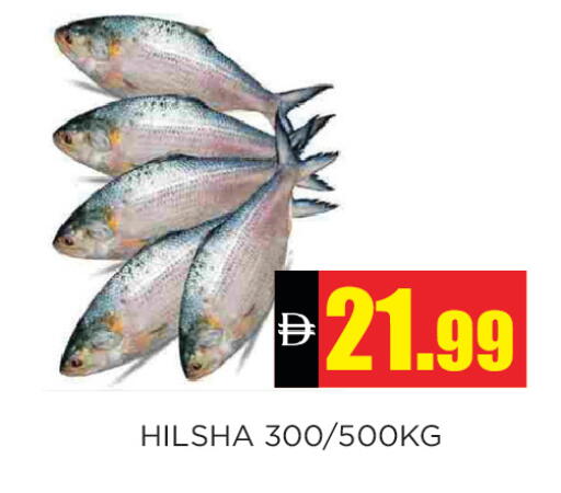 available at Ainas Al madina hypermarket in UAE - Sharjah / Ajman