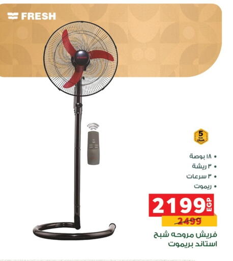 available at Panda  in Egypt - Cairo