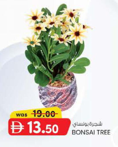available at ك. إم. هايبرماركت in الإمارات العربية المتحدة , الامارات - ٱلْعَيْن‎