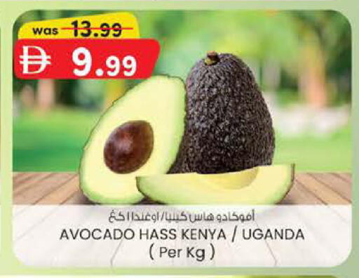 Avocado from Kenya Uganda available at صفا هايبر in الإمارات العربية المتحدة , الامارات - ٱلْعَيْن‎