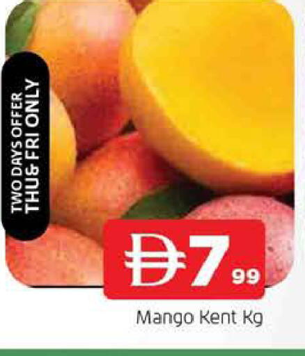 Mango available at المدينة in الإمارات العربية المتحدة , الامارات - الشارقة / عجمان