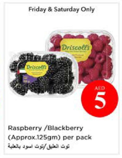 Raspberry Blackberry available at نستو هايبرماركت in الإمارات العربية المتحدة , الامارات - أبو ظبي