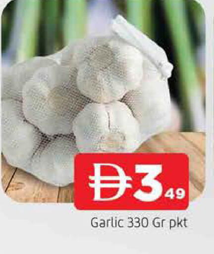Garlic available at المدينة in الإمارات العربية المتحدة , الامارات - الشارقة / عجمان