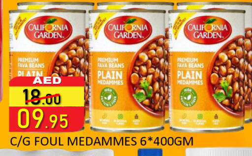 available at رويال جلف هايبرماركت in الإمارات العربية المتحدة , الامارات - أبو ظبي