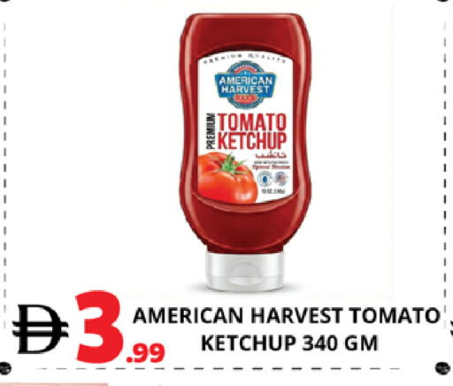 Tomato available at اكسبرس المدينة هايبرماركت in الإمارات العربية المتحدة , الامارات - أبو ظبي