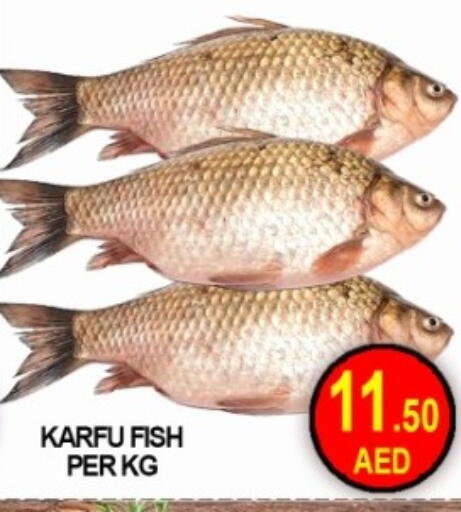 available at جرين جيفت متجر أقسام in الإمارات العربية المتحدة , الامارات - دبي