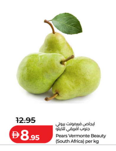 from South Africa available at Lulu Hypermarket in UAE - Dubai