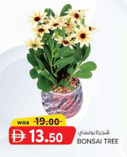 available at ك. الم. للتجارة in الإمارات العربية المتحدة , الامارات - دبي