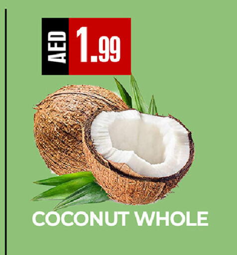 Coconut available at  RIVIERA SUPERMARKET L.L.C in UAE - Abu Dhabi