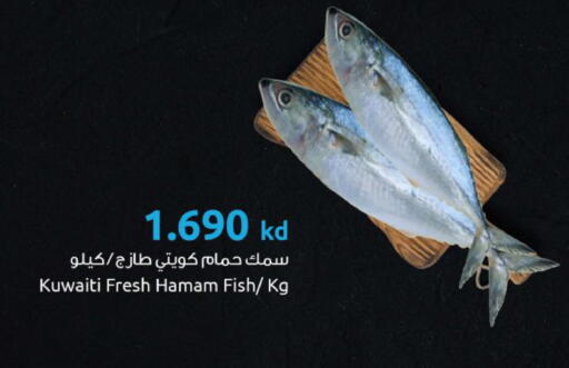 available at مركز سلطان in الكويت - محافظة الجهراء
