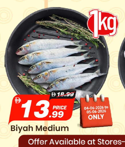 available at مارك & سيف in الإمارات العربية المتحدة , الامارات - الشارقة / عجمان
