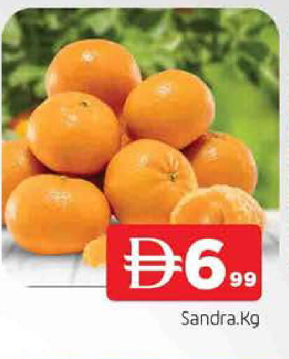 available at المدينة in الإمارات العربية المتحدة , الامارات - الشارقة / عجمان
