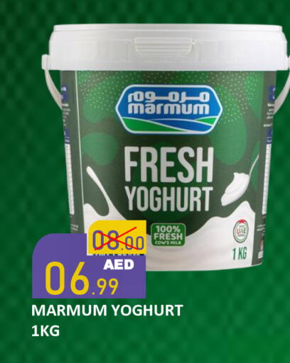 available at رويال جلف هايبرماركت in الإمارات العربية المتحدة , الامارات - أبو ظبي