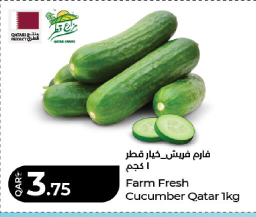 Cucumber from Qatar available at LuLu Hypermarket in Qatar - Doha