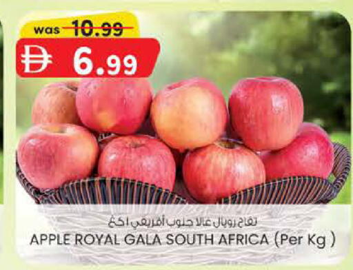 Apple from South Africa available at Safa Express Supermarket in UAE - Abu Dhabi