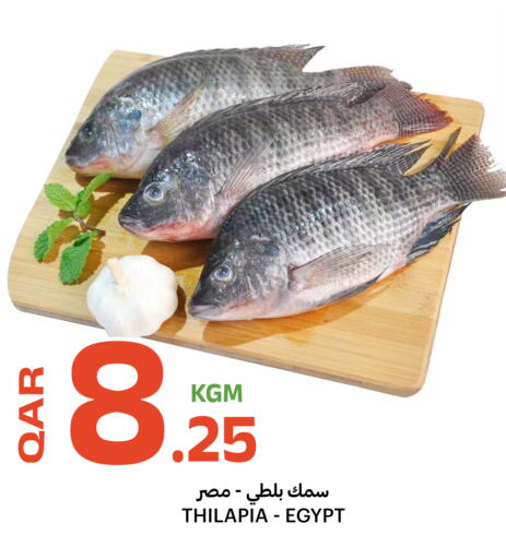 available at البلدي اليوم in قطر - الضعاين