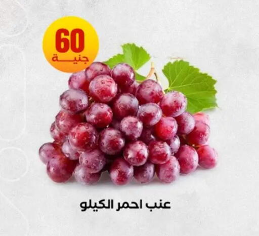 available at المحلاوي ستورز in Egypt - القاهرة