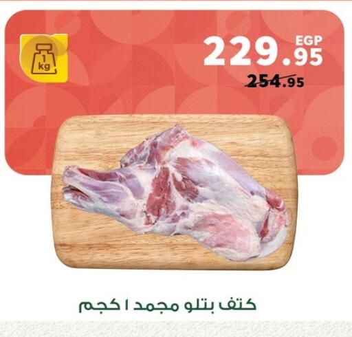 available at Panda  in Egypt - Cairo