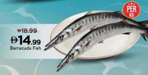 available at مارك & سيف in الإمارات العربية المتحدة , الامارات - الشارقة / عجمان