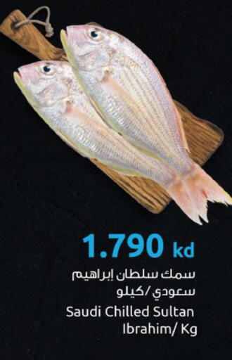 available at مركز سلطان in الكويت - محافظة الجهراء