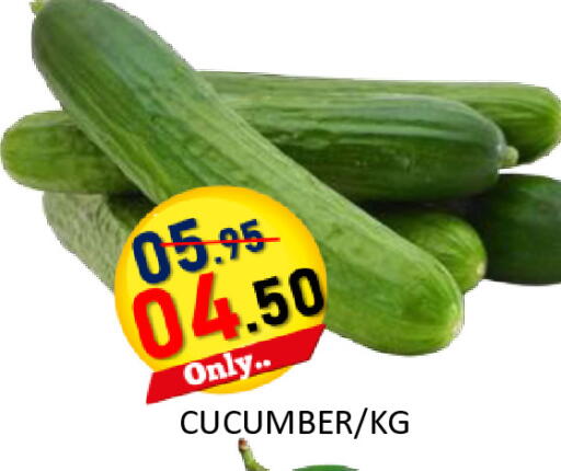 Cucumber available at رويال جلف هايبرماركت in الإمارات العربية المتحدة , الامارات - أبو ظبي