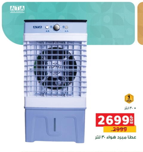 available at Panda  in Egypt - Cairo