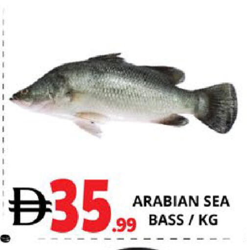 available at اكسبرس المدينة هايبرماركت in الإمارات العربية المتحدة , الامارات - أبو ظبي