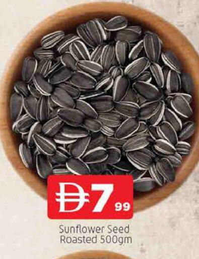 available at المدينة in الإمارات العربية المتحدة , الامارات - الشارقة / عجمان