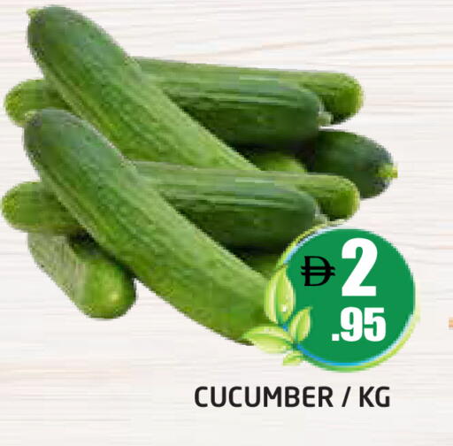 Cucumber available at Pasons Hypermarket in UAE - Dubai