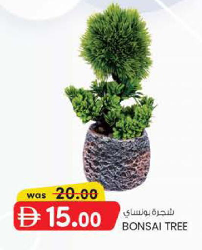 available at صفا هايبر in الإمارات العربية المتحدة , الامارات - ٱلْعَيْن‎