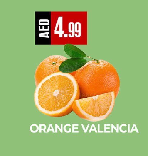 Orange available at  RIVIERA SUPERMARKET L.L.C in UAE - Abu Dhabi