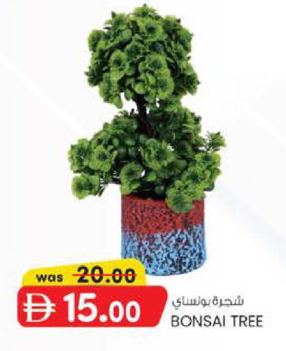 available at ك. الم. للتجارة in الإمارات العربية المتحدة , الامارات - أبو ظبي