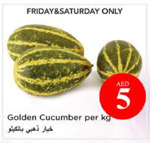 Cucumber available at نستو هايبرماركت in الإمارات العربية المتحدة , الامارات - الشارقة / عجمان