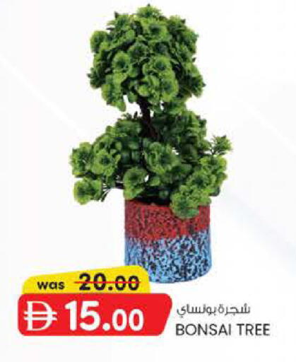 available at صفا اكسبريس سوبرماركت in الإمارات العربية المتحدة , الامارات - ٱلْعَيْن‎