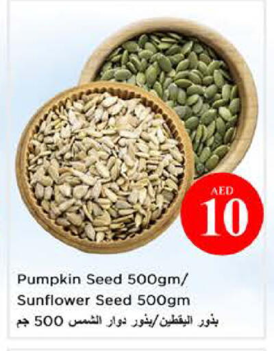 Pumpkin available at نستو هايبرماركت in الإمارات العربية المتحدة , الامارات - الشارقة / عجمان