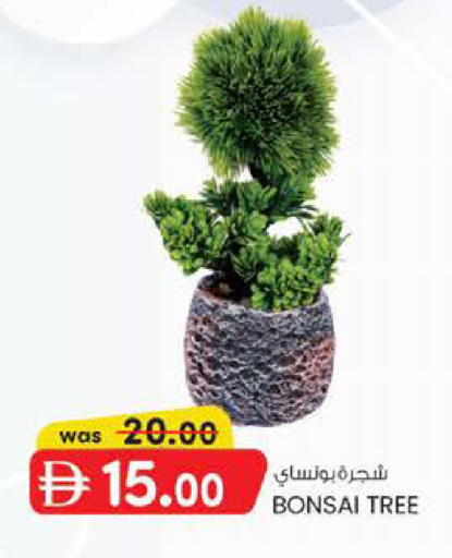 available at صفا اكسبريس سوبرماركت in الإمارات العربية المتحدة , الامارات - ٱلْعَيْن‎