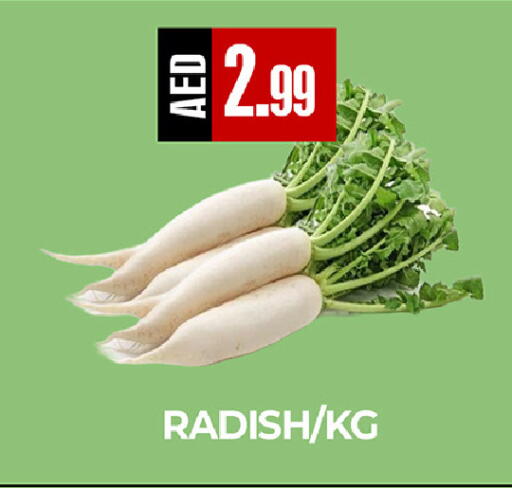 Radish available at  RIVIERA SUPERMARKET L.L.C in UAE - Abu Dhabi