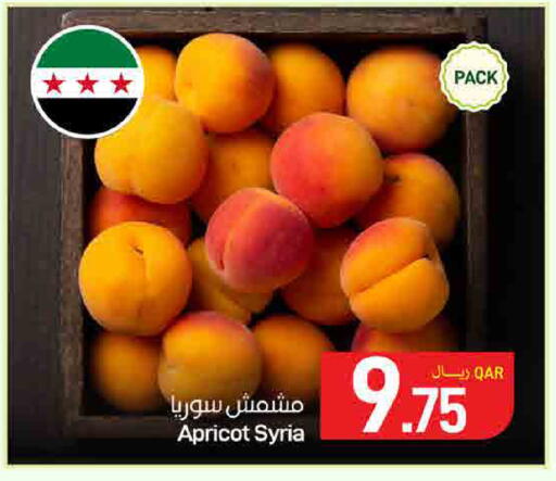 Apricot from Syria available at ســبــار in قطر - الوكرة