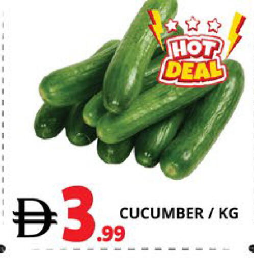 Cucumber available at اكسبرس المدينة هايبرماركت in الإمارات العربية المتحدة , الامارات - أبو ظبي