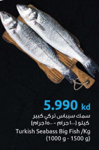 available at مركز سلطان in الكويت - محافظة الجهراء