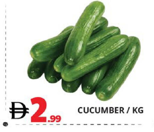 Cucumber available at اكسبرس المدينة هايبرماركت in الإمارات العربية المتحدة , الامارات - أبو ظبي
